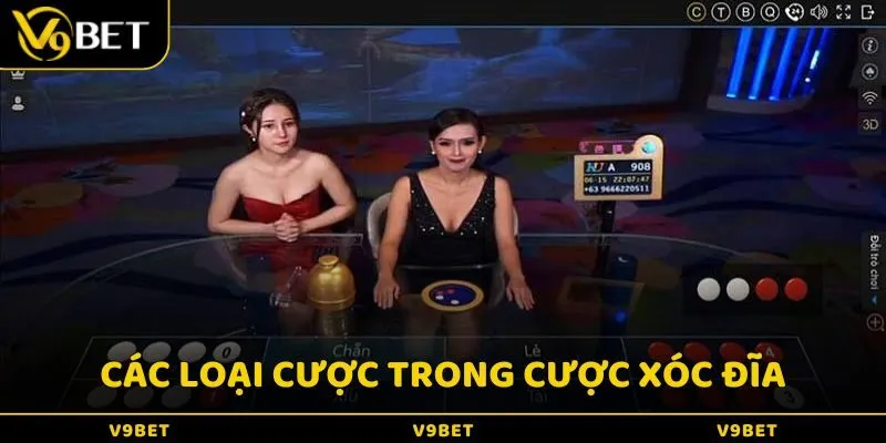 Các loại cược trong cược Xóc đĩa